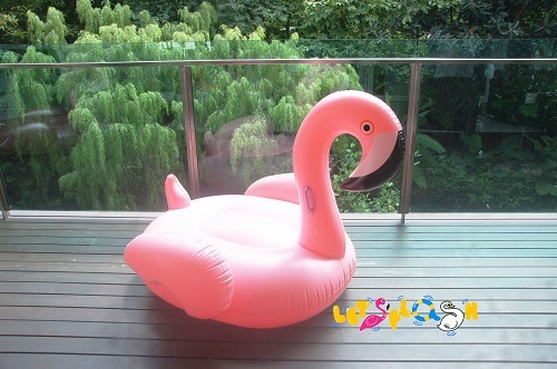 Kid Pink Flamingo.jpg