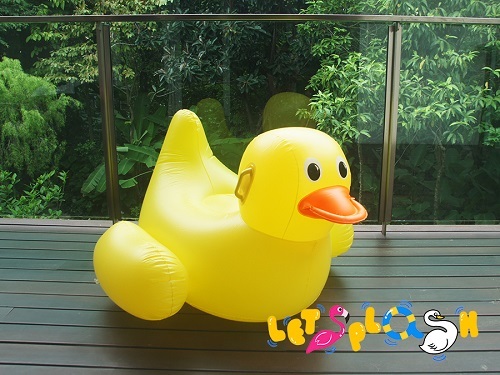 Duck.jpg
