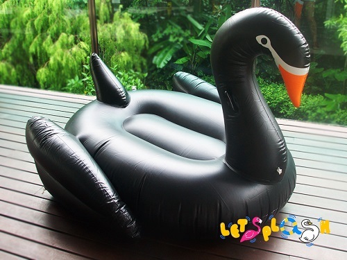 Black Swan.jpg