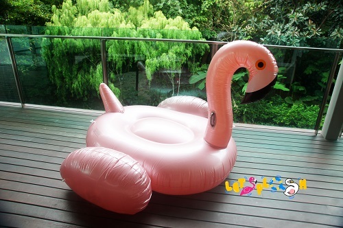 Big RG Flamingo.jpg
