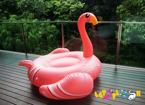 Orange Flamingo.jpg