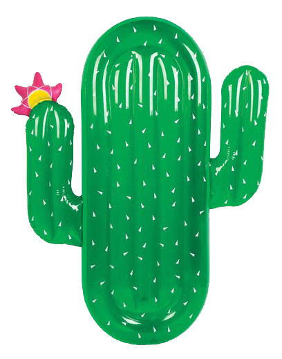 Sunnylife-Inflatable-Cactus-Pool-Float.png