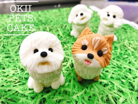 雞肉凍 日本寒天 吉快樂寵物蛋糕屋okii Pets Cake