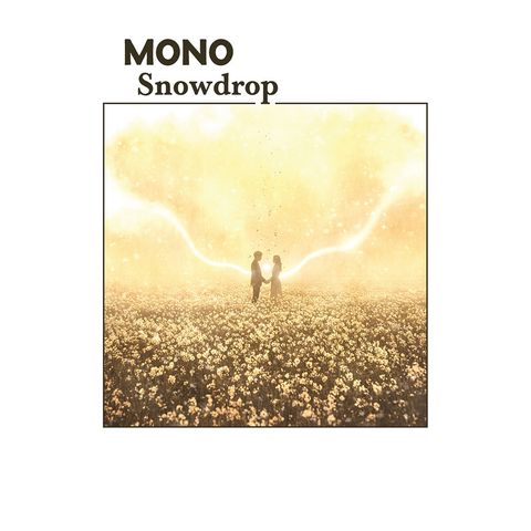 MonoSnow