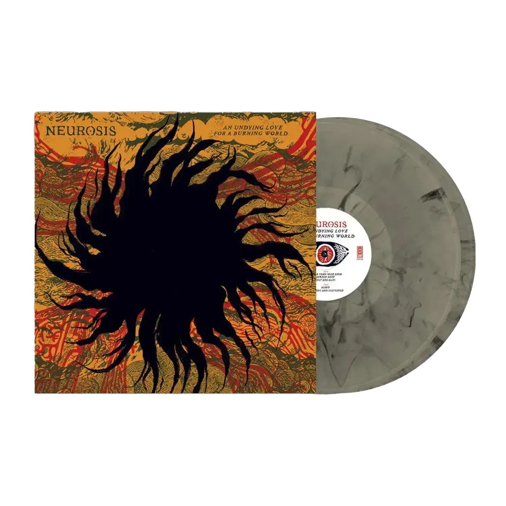 Done_Neurorsis2LP