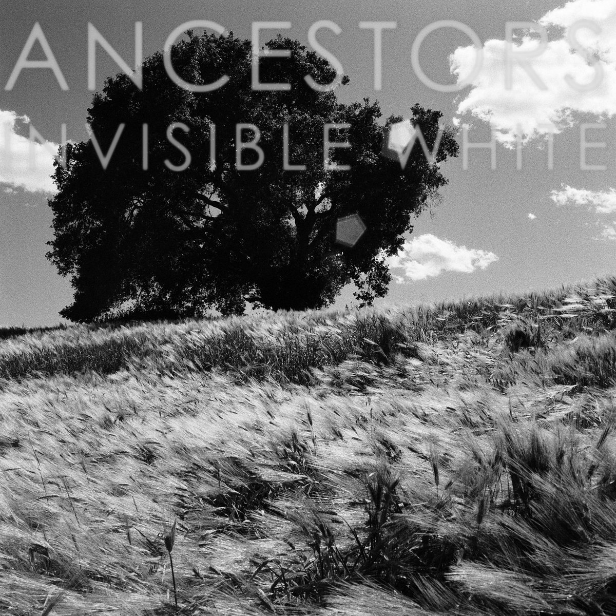 ancestor-invisible.jpg