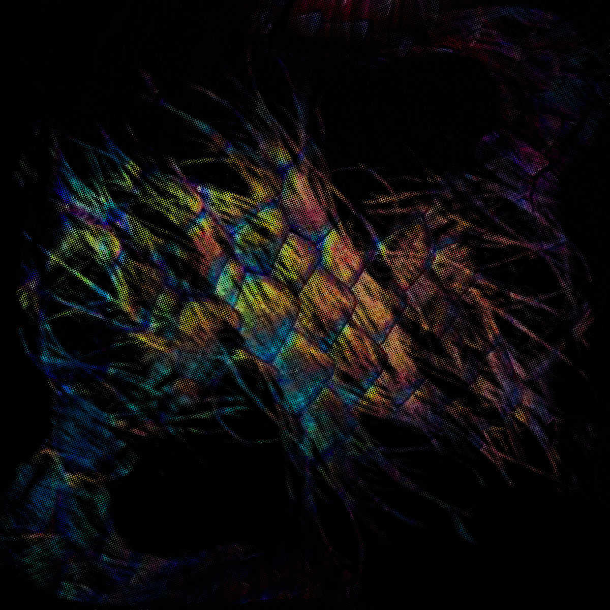 a0021407334_10.jpg