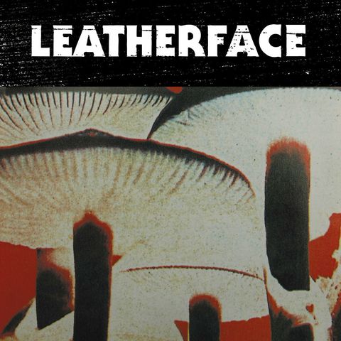 leatherface2.jpg