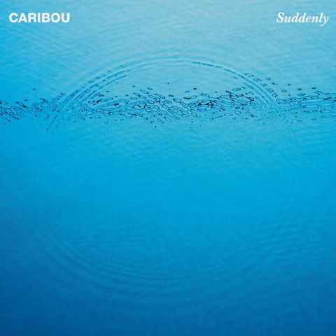 caribou------