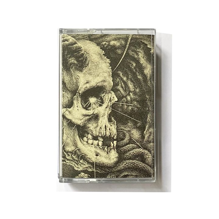 shallowgrave