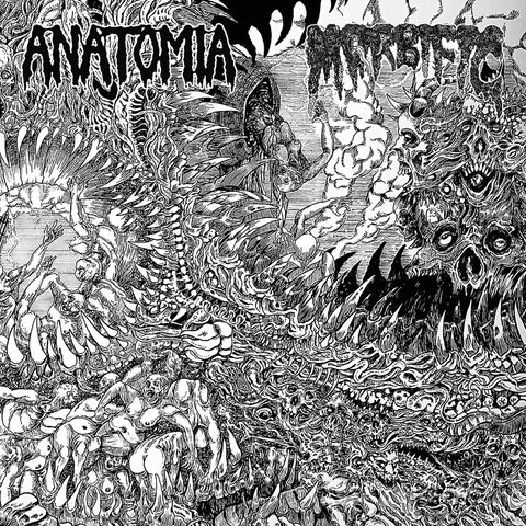 anatomia-morbific