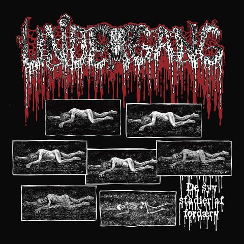 Ugang-newlp