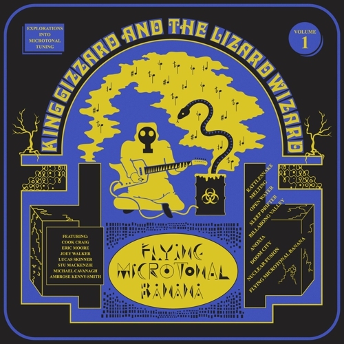 KINGGIZZARD-FLYINGATONAL.jpg