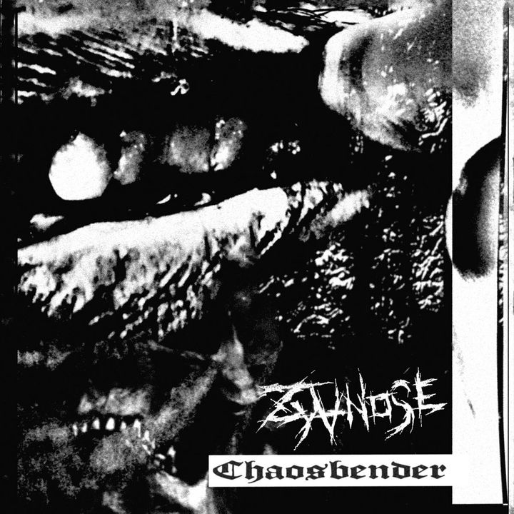 zya-chaossss