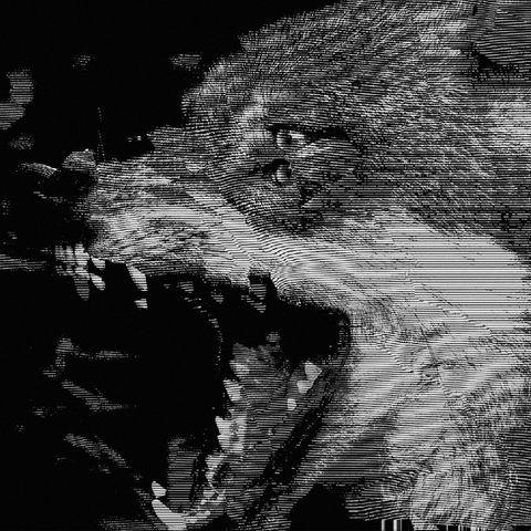 image_0D91ADA1-4E2F-4A7A-9E1A-49C48A3EC662_1741853439