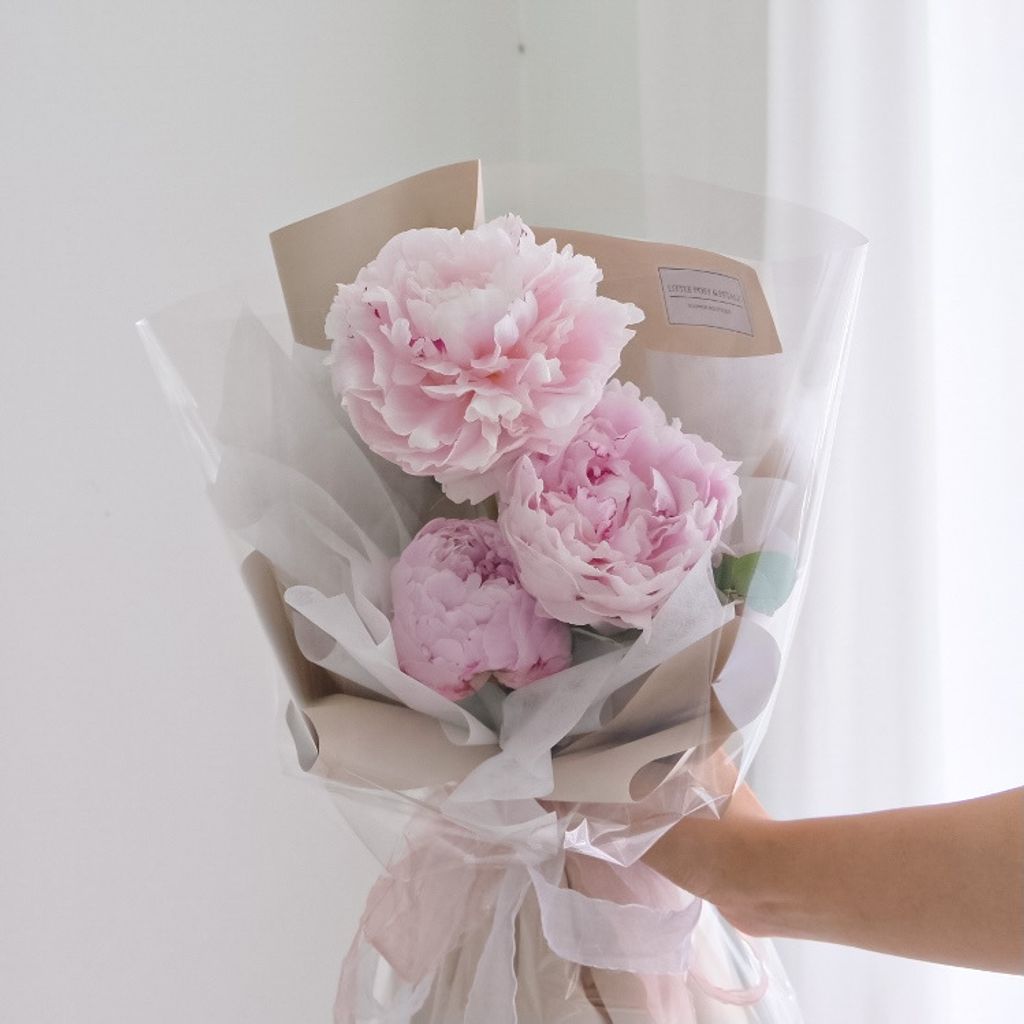 peony2.JPG
