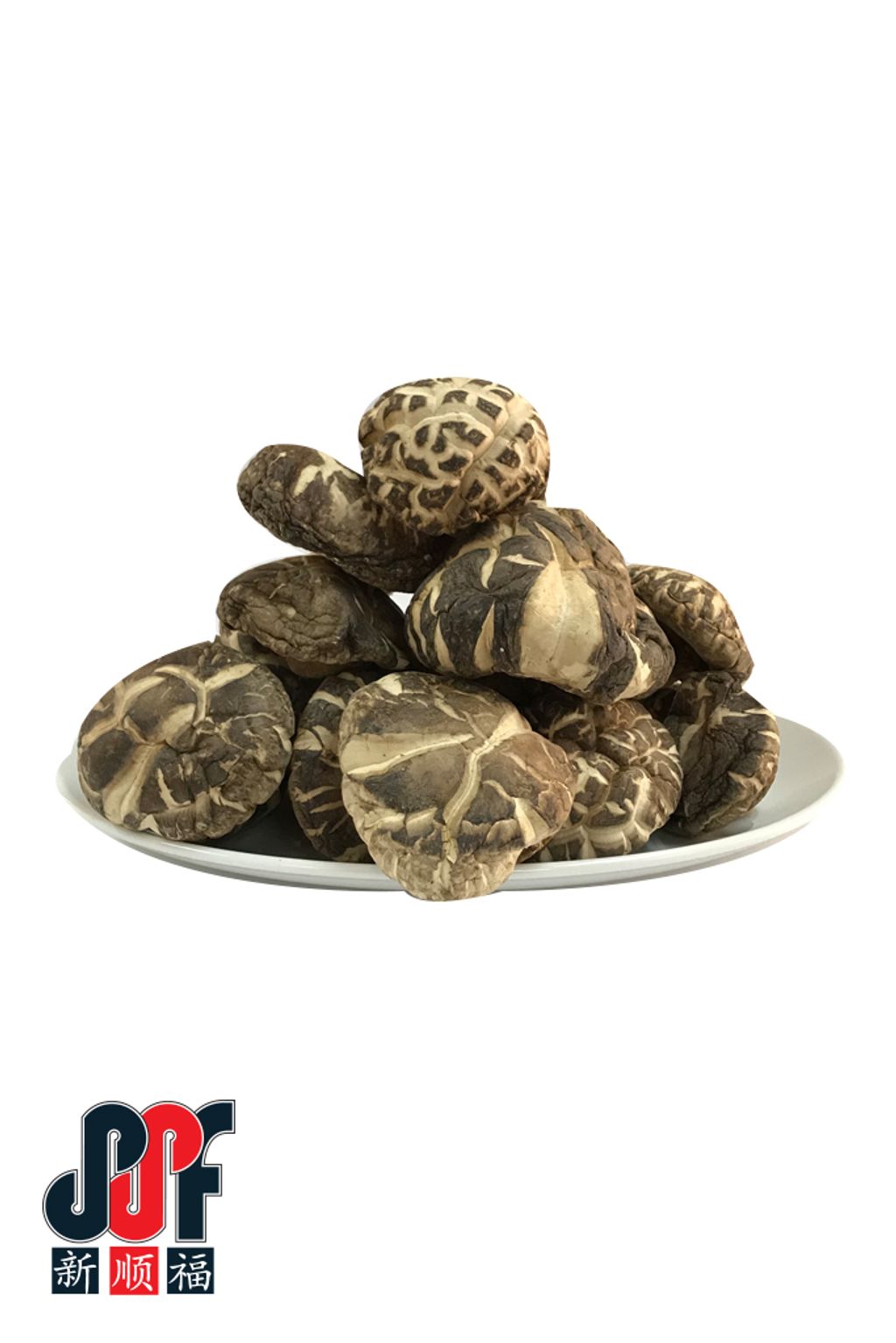 Fruitus XL-Mushroom-1.jpg