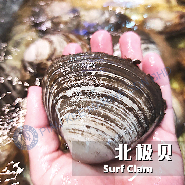 20201224_165545_0005.png