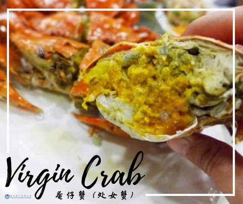 Virgin Crab 奄仔蟹 (处女蟹) a.png