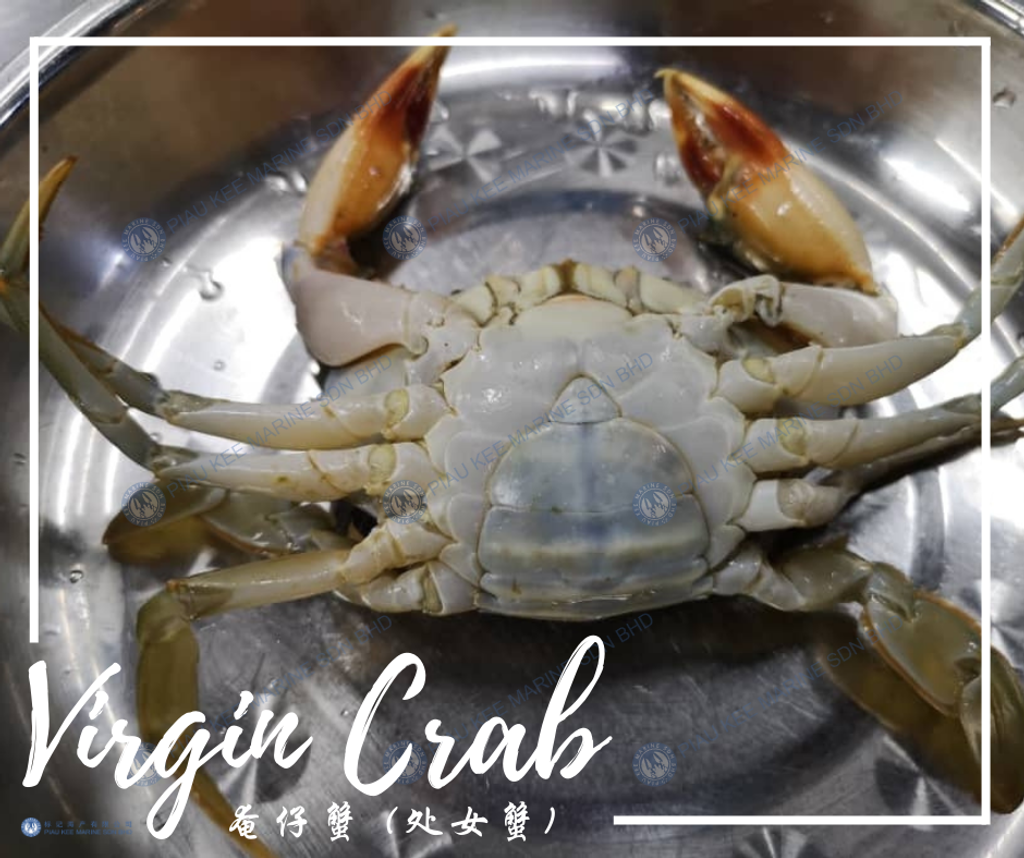 Virgin Crab 奄仔蟹 (处女蟹) b.png