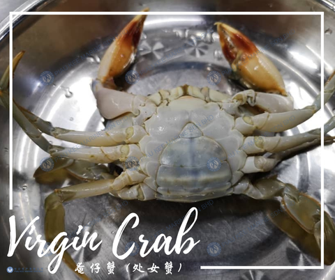 Virgin Crab 奄仔蟹 (处女蟹) b.png