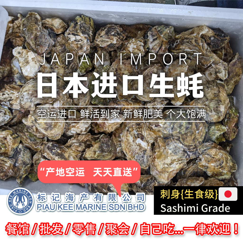 Japan Oyster Live bb.png