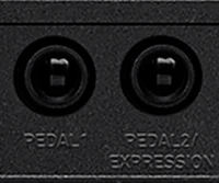 Lots of Expansion Ports for Easier Performance, Songwriting and Editing