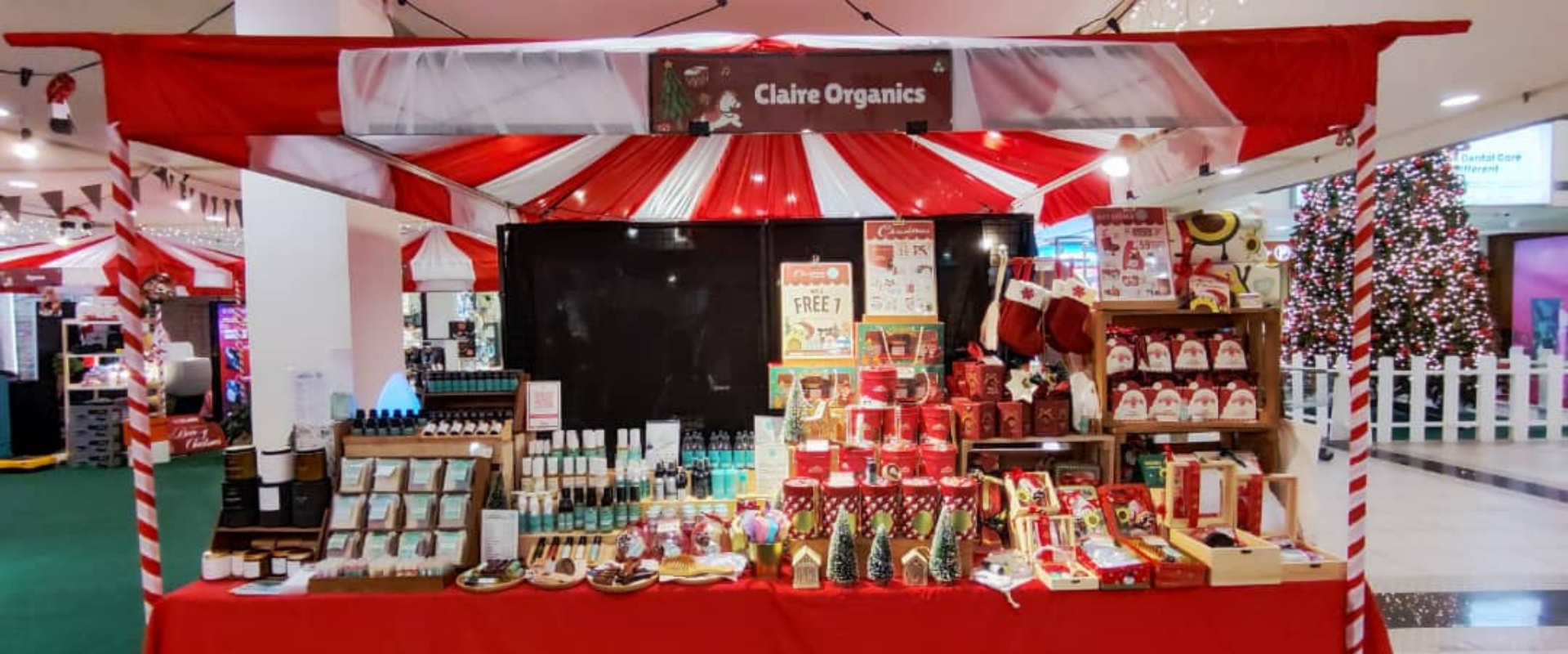 Christmas Web Banner-01 (2)