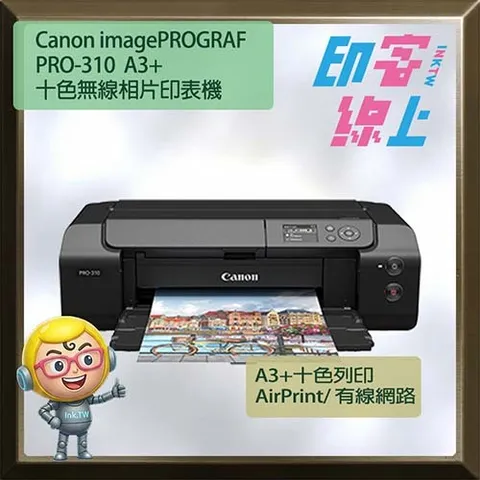 PRO 310-1