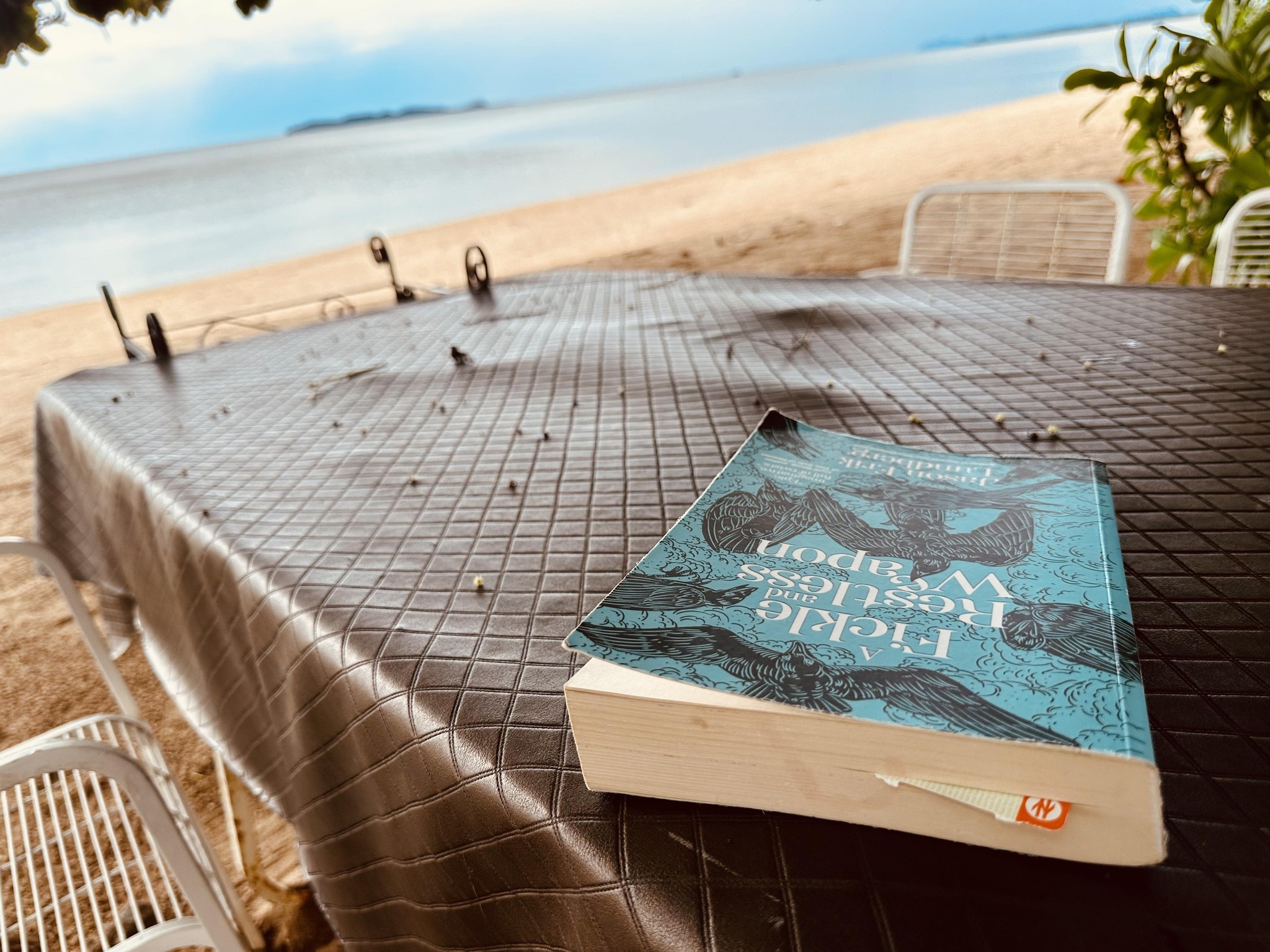 480215470_1289494298955471_5556964085760893768_n