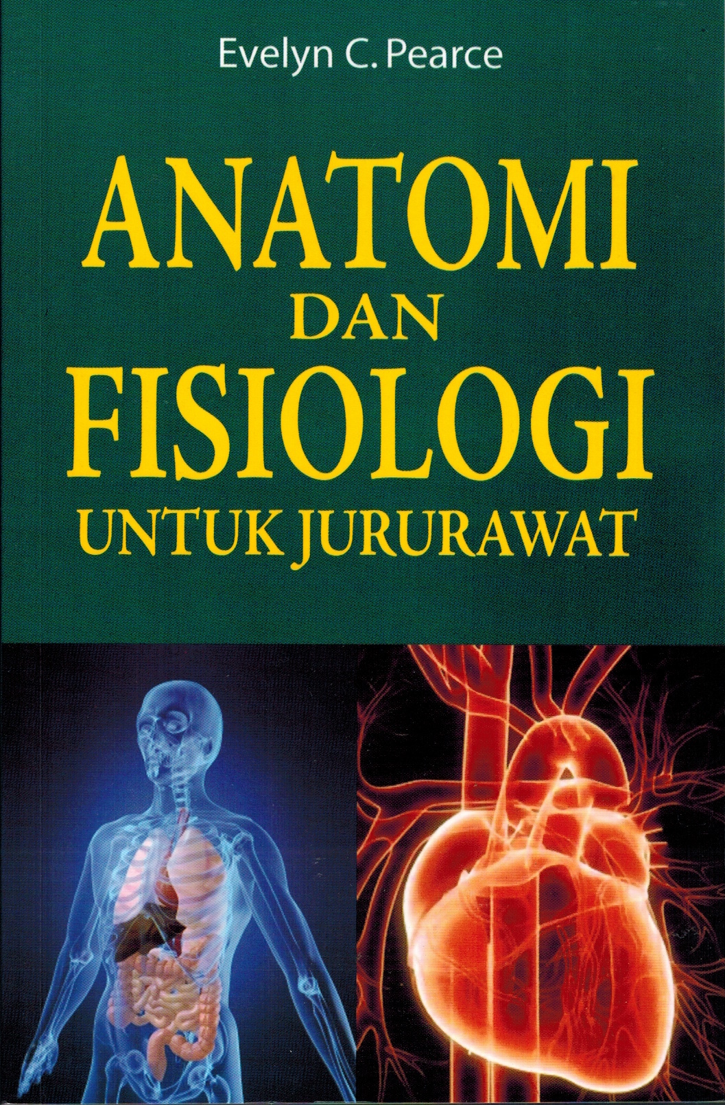 Image (2)