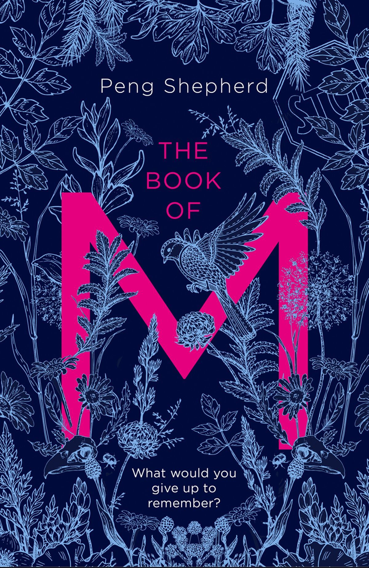 the-book-of-m-1