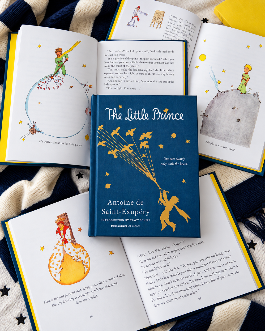 little prince ChatGPT Image Sep 23, 2026, 08_42_13 PM