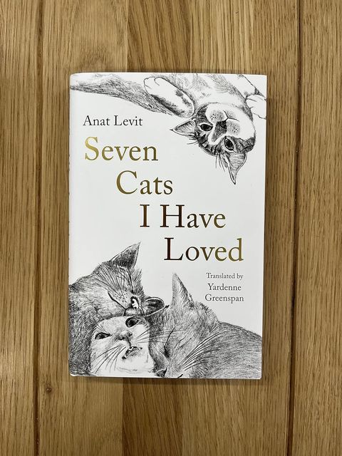 91Afm6VgybL._SL1500_