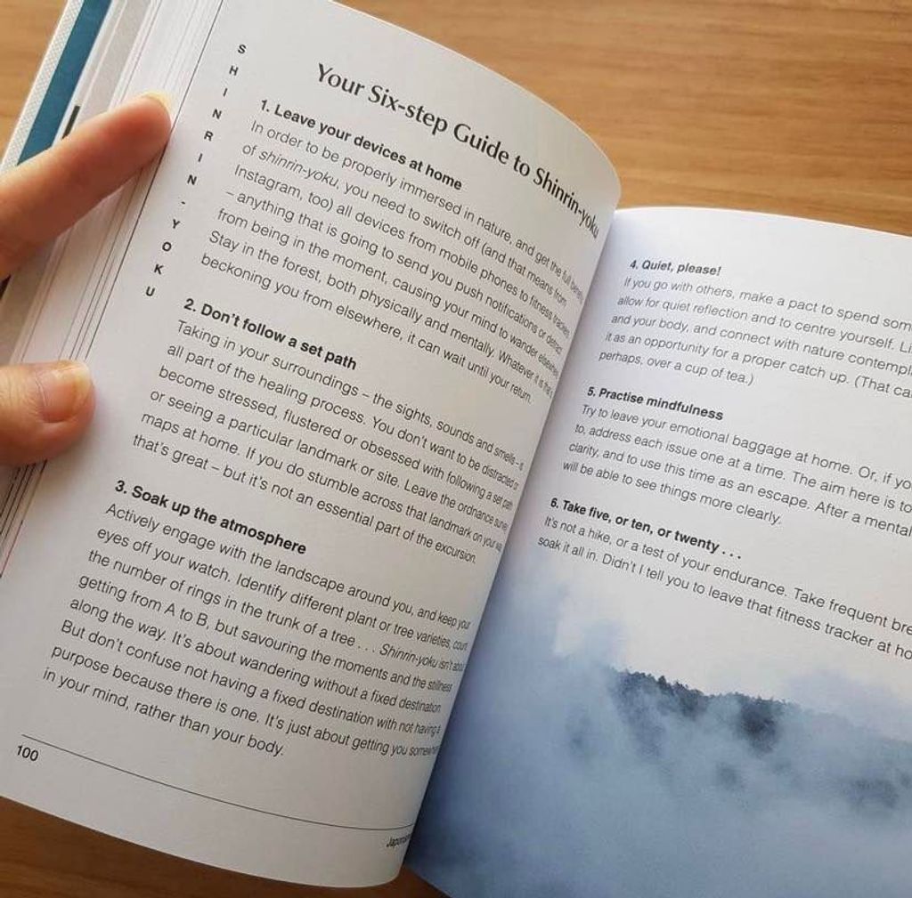 438238644_850767943760205_549240635822190398_n_2a8f0b8e5393455ba62f2f3a4822bc82_master