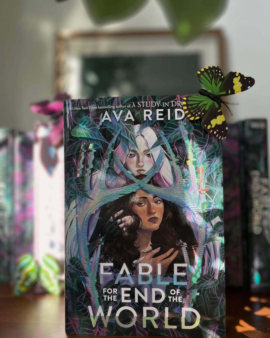 485256833_18452633068078894_5018442406983911449_n