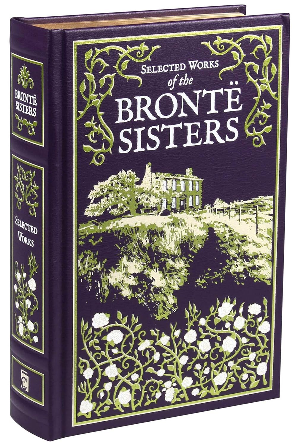 81xacpYmZ7S._SL1500_