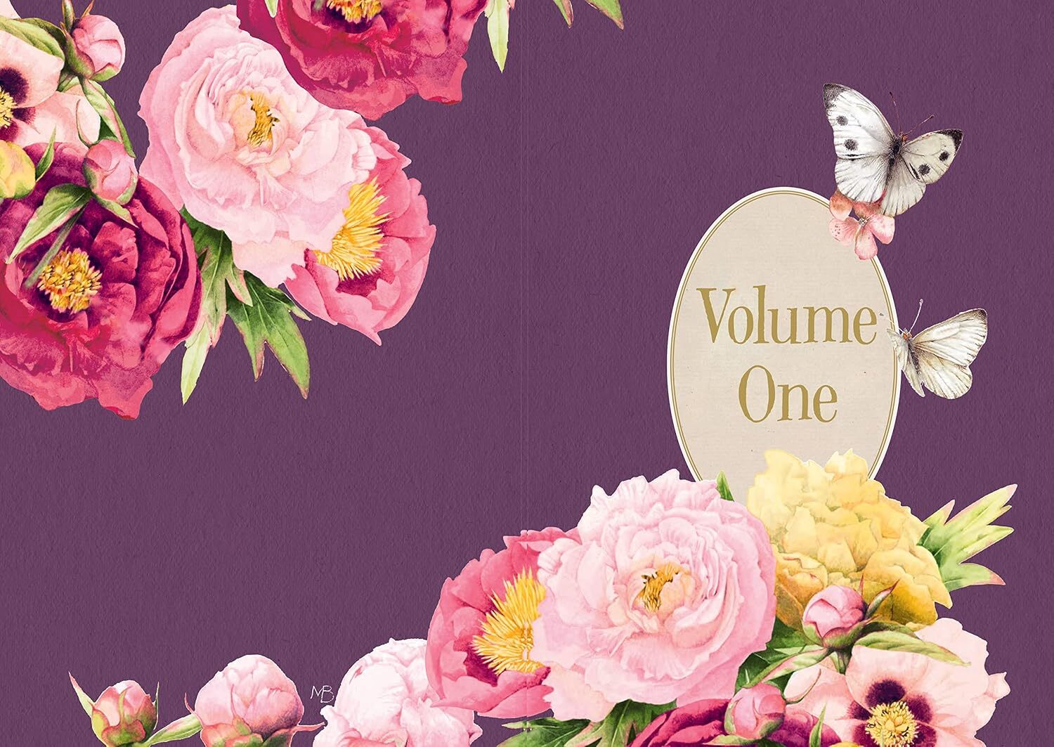 81-BTzGjqVL._SL1500_