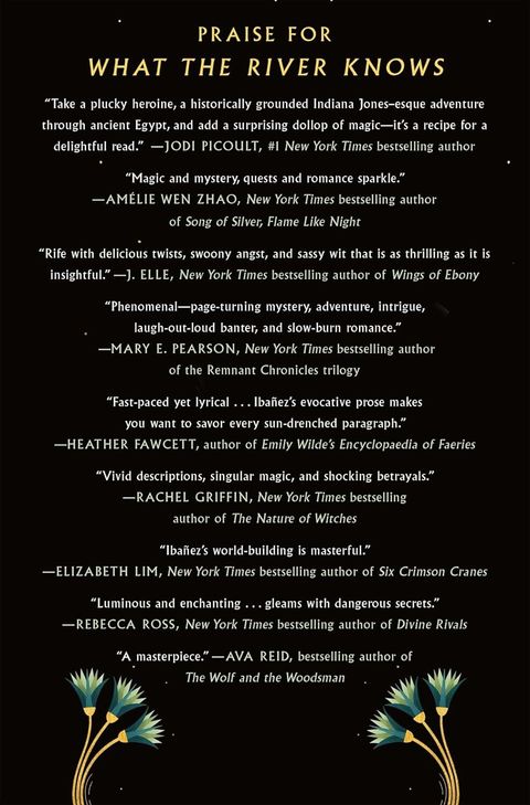 71vdBUy+oxL._SL1500_