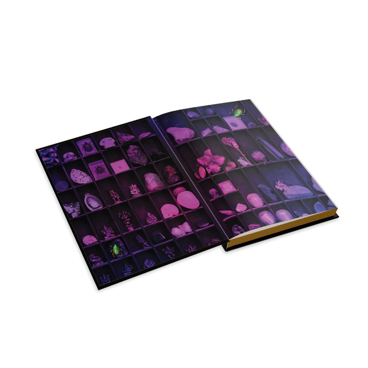 51q+a-T4uLL._SL1200_