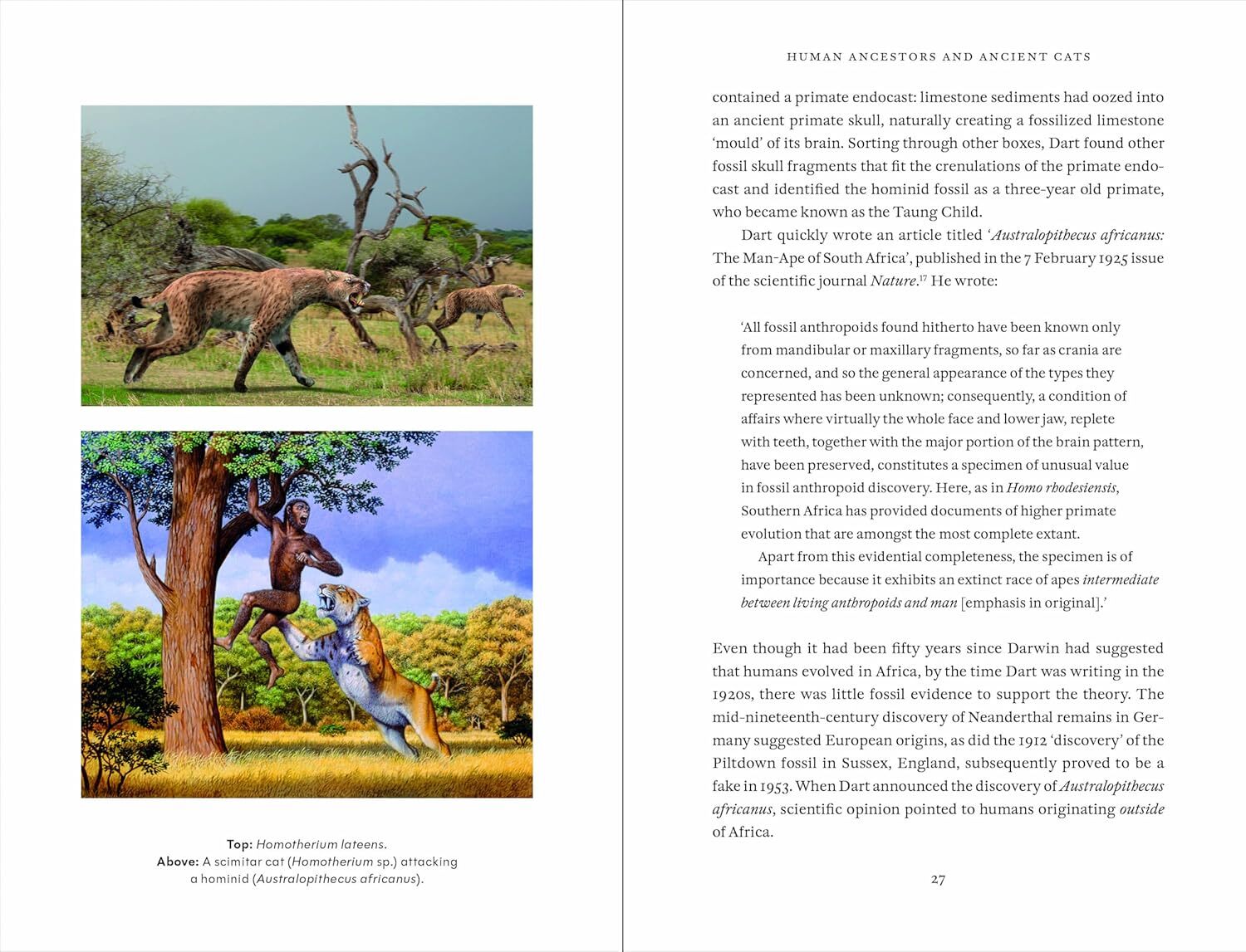 81URsHDmjSL._SL1500_