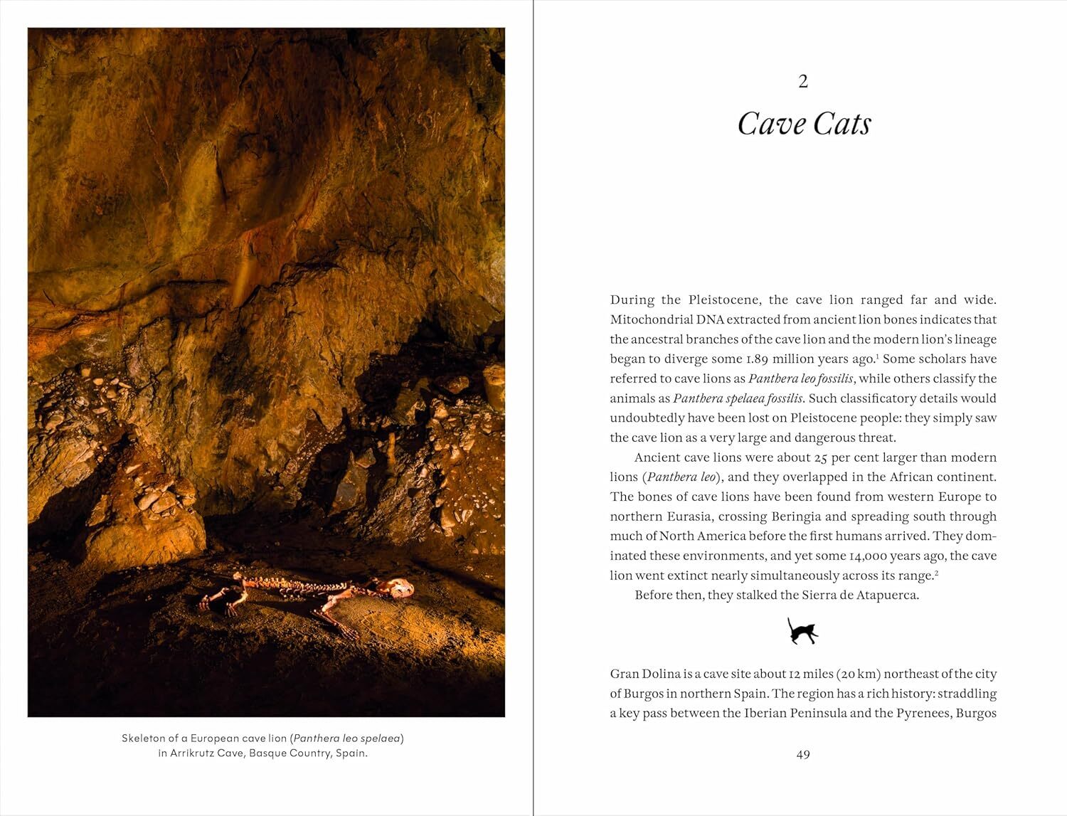 81e32p+9CpL._SL1500_