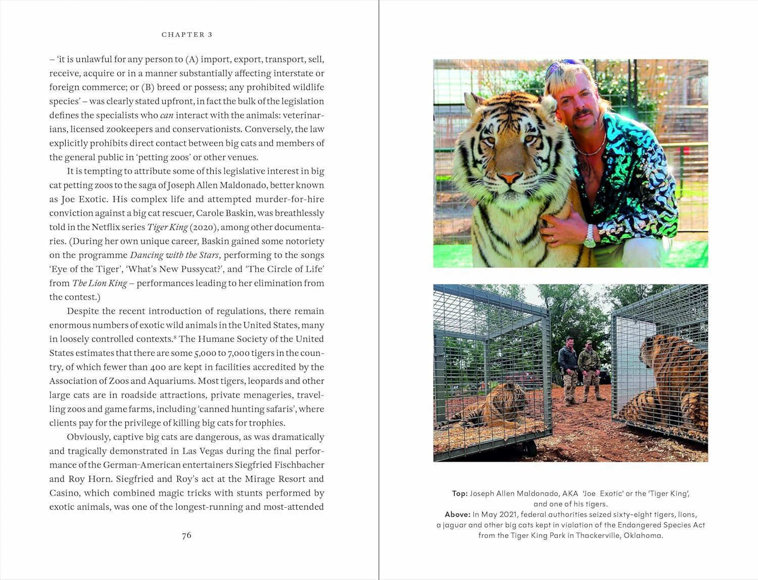 9197iLTm8eL._SL1500_