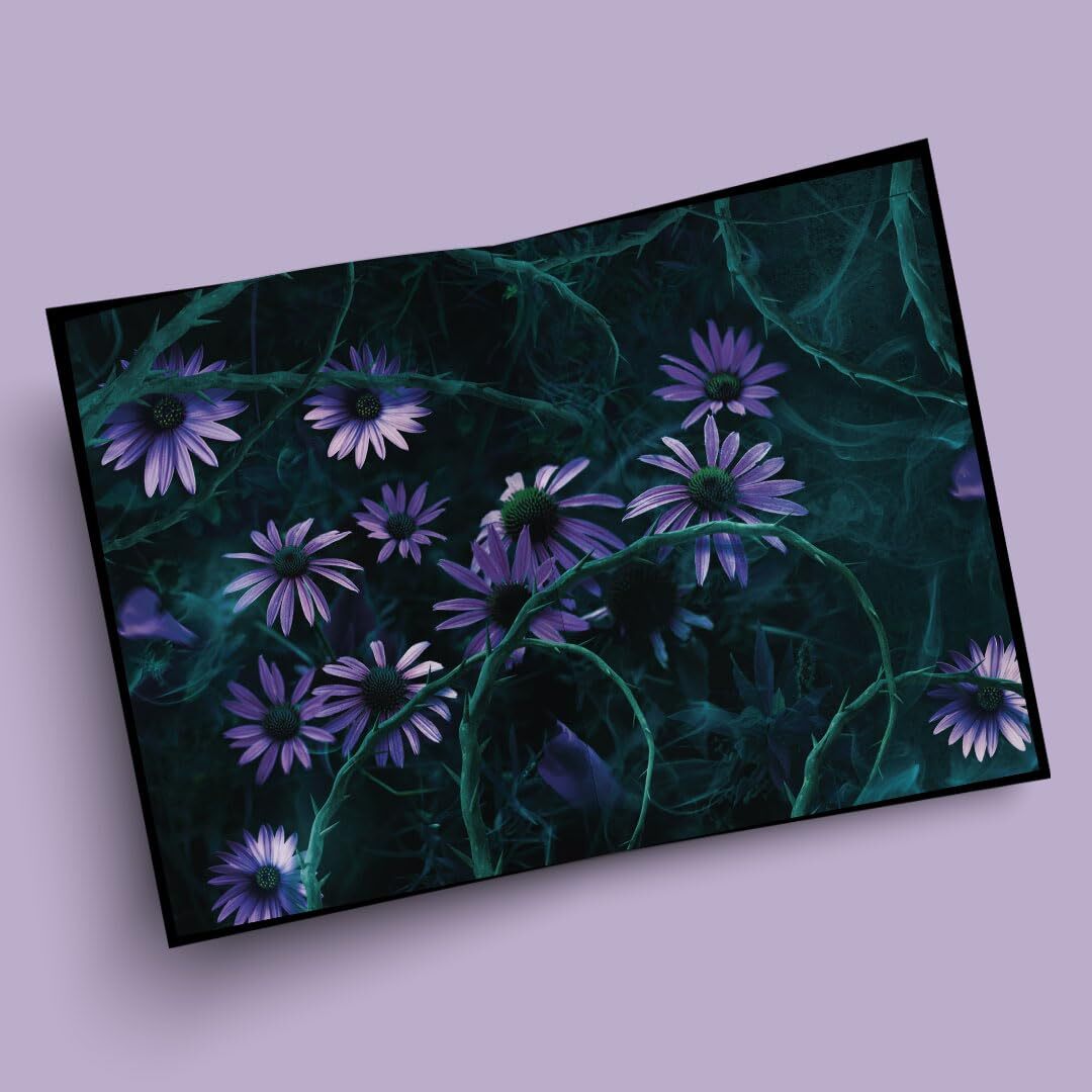 61ndVjesm0L._SL1080_