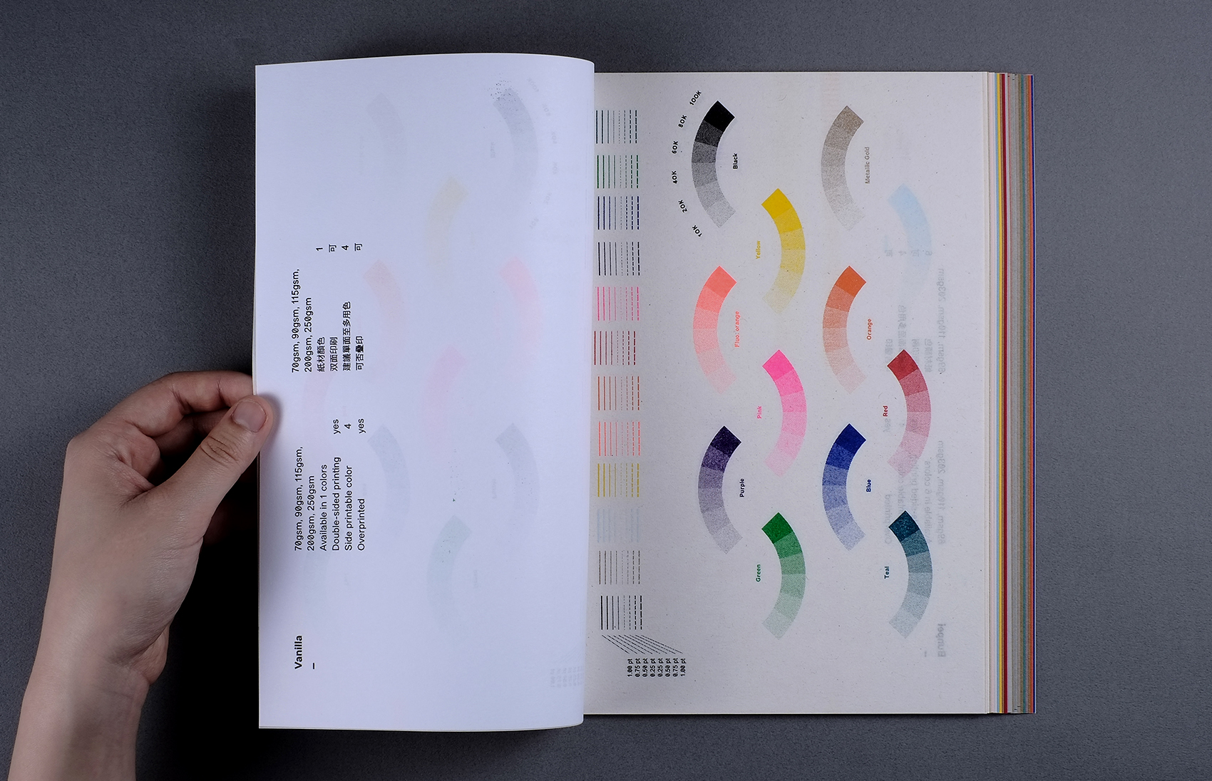 Color Palette Paper & 12 Colors O.OO Risograph & Design ROOM