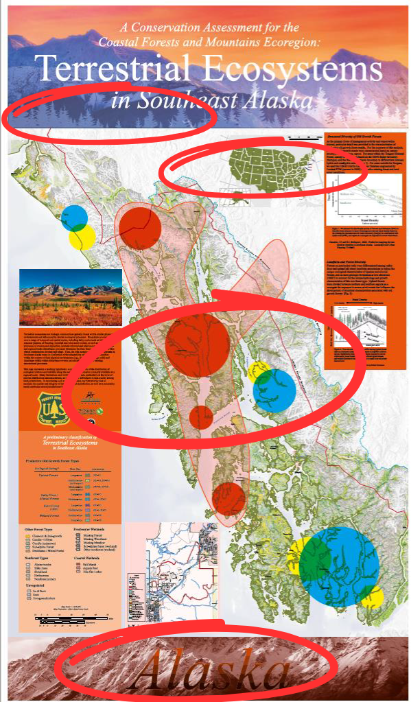 Comparison image showing correct processing of transparencies and colors on HP DesignJet Z6 with APPE.