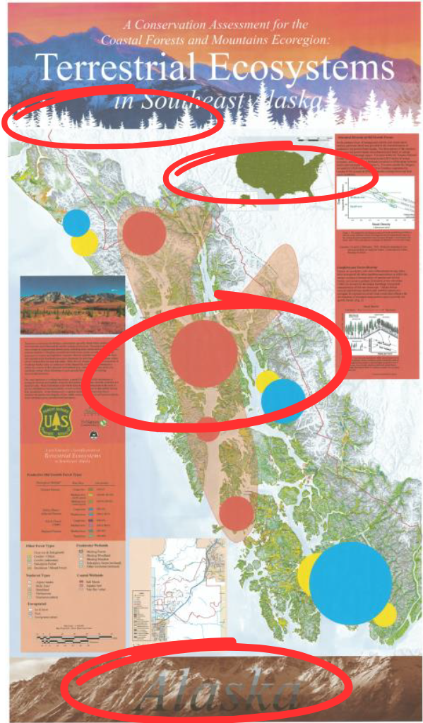 Comparison image showing transparency errors and loss of detail on a competitor's printer without APPE.
