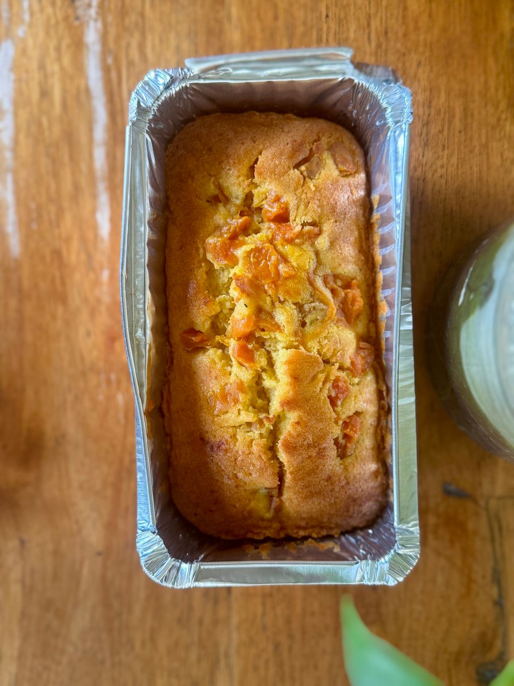 image_D52179C1-7233-407D-9435-9CA4DF826C7D_1770048722