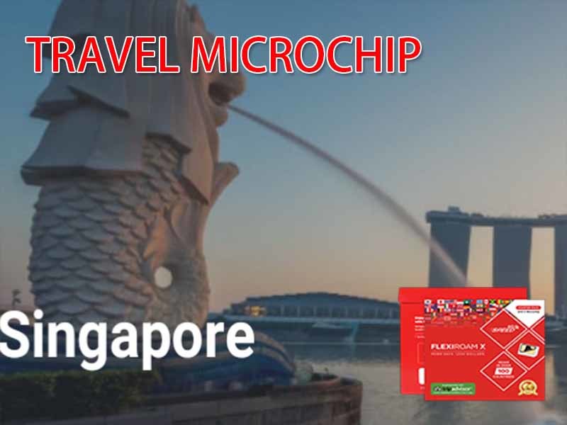 Singapore + Starter Pack