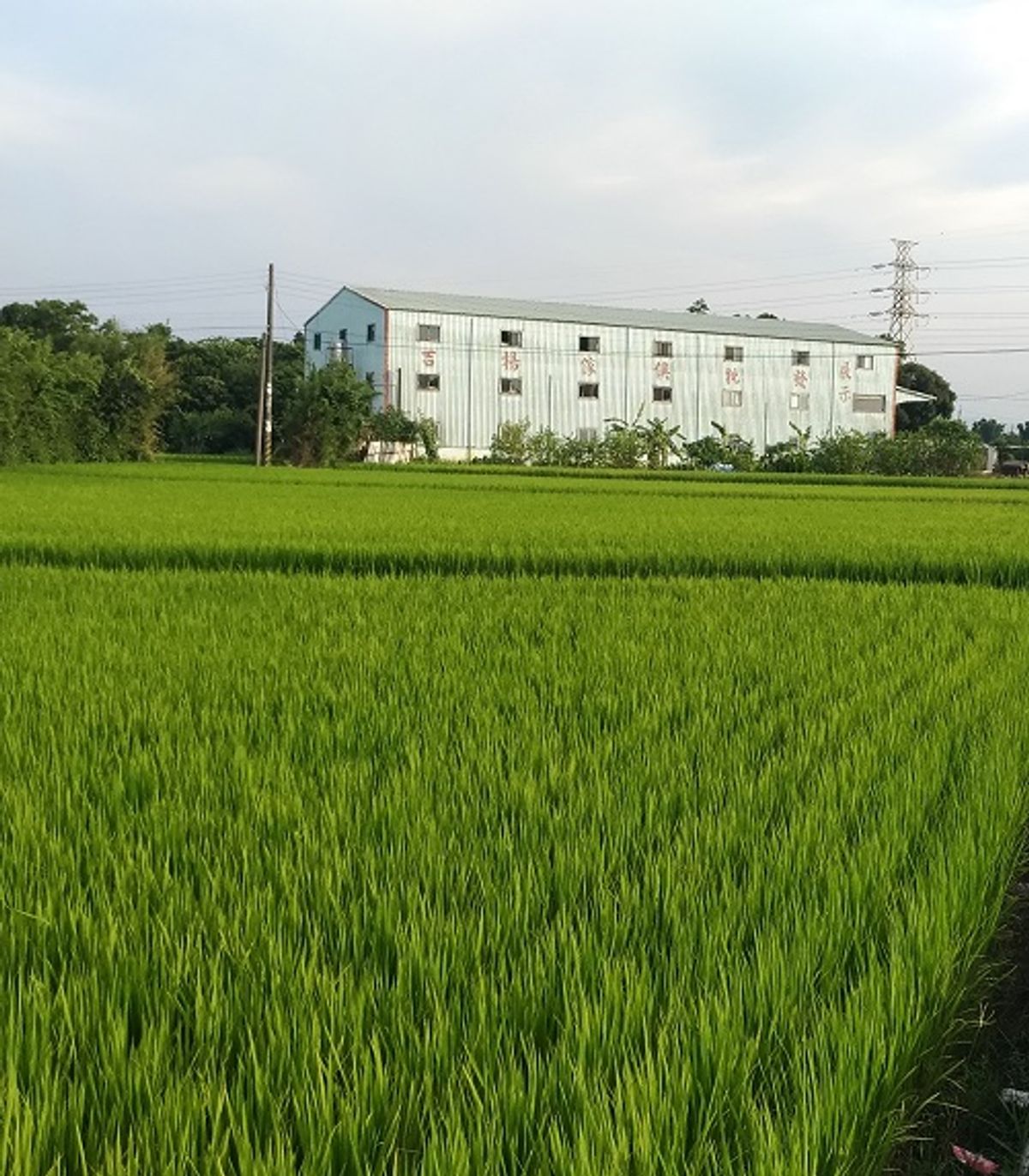 桃園吉揚家具商城 | 吉揚家具–美好成家